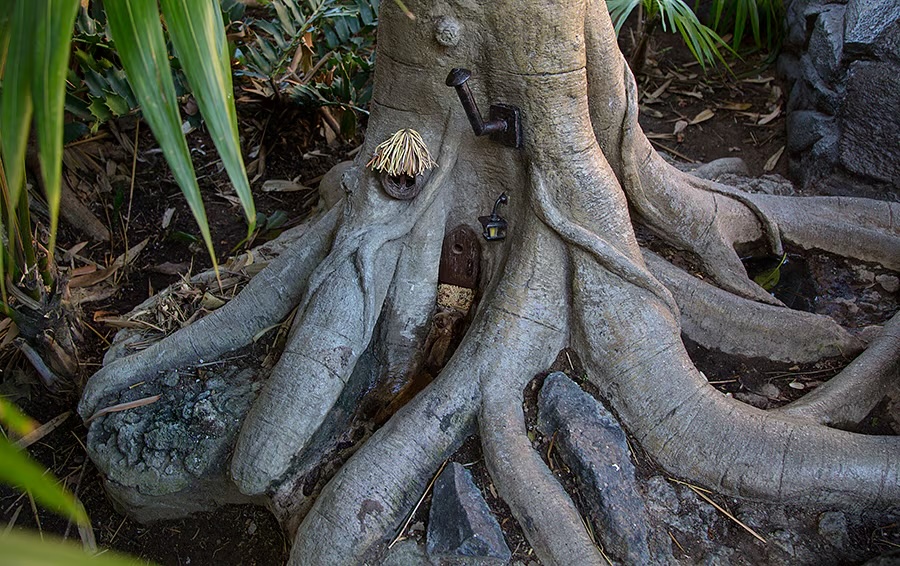 The Little Man of Disneyland