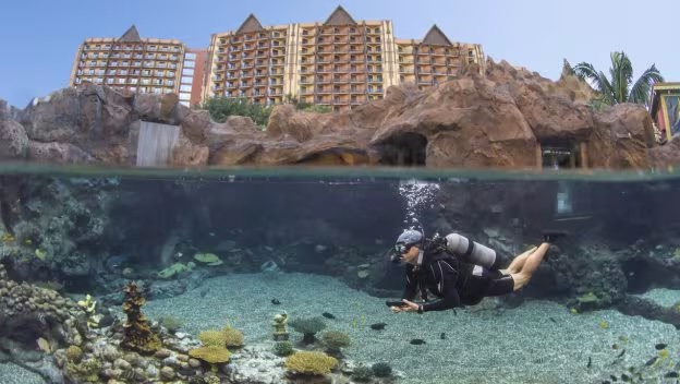 New Up Close Encounters at Rainbow Reef at Aulani Resort