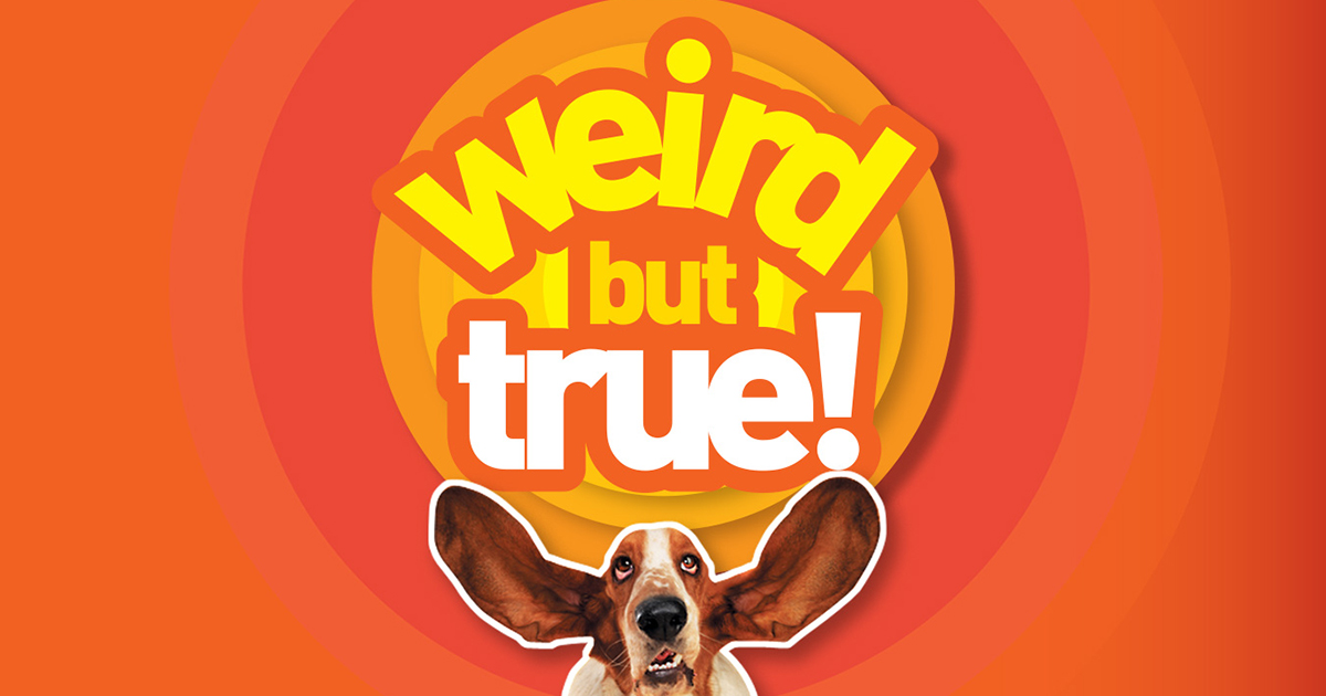 Weird But True National Geographic Comes to Disney+