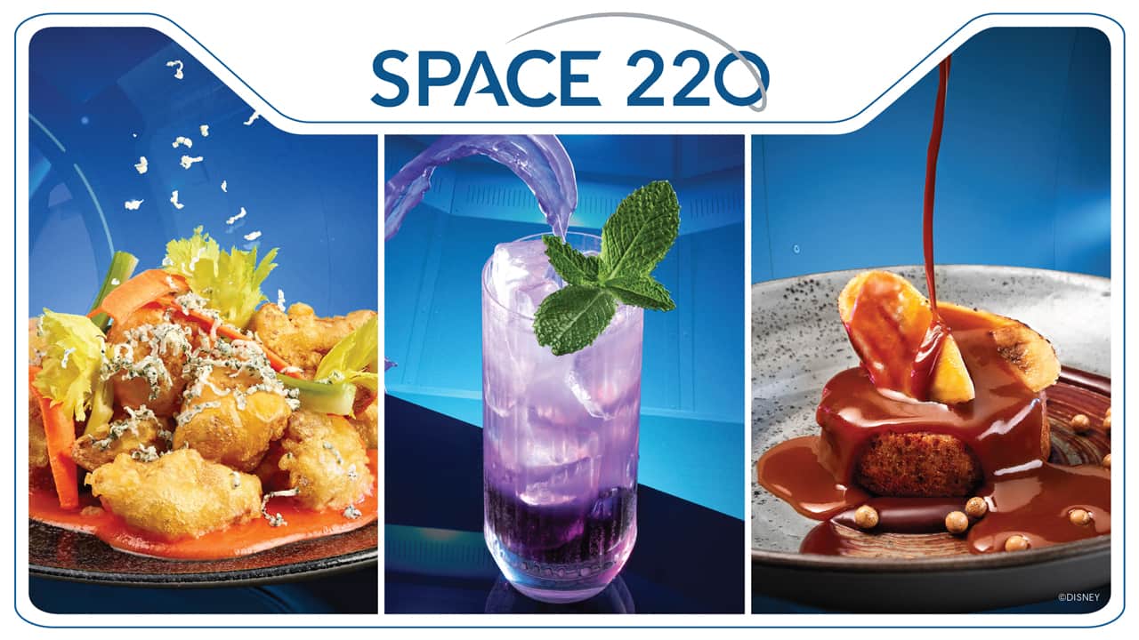 Space 220