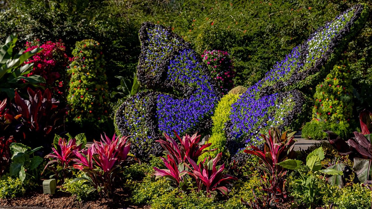 Encanto Inspired Garden Debuts at EPCOT International Flower and Garden Festival