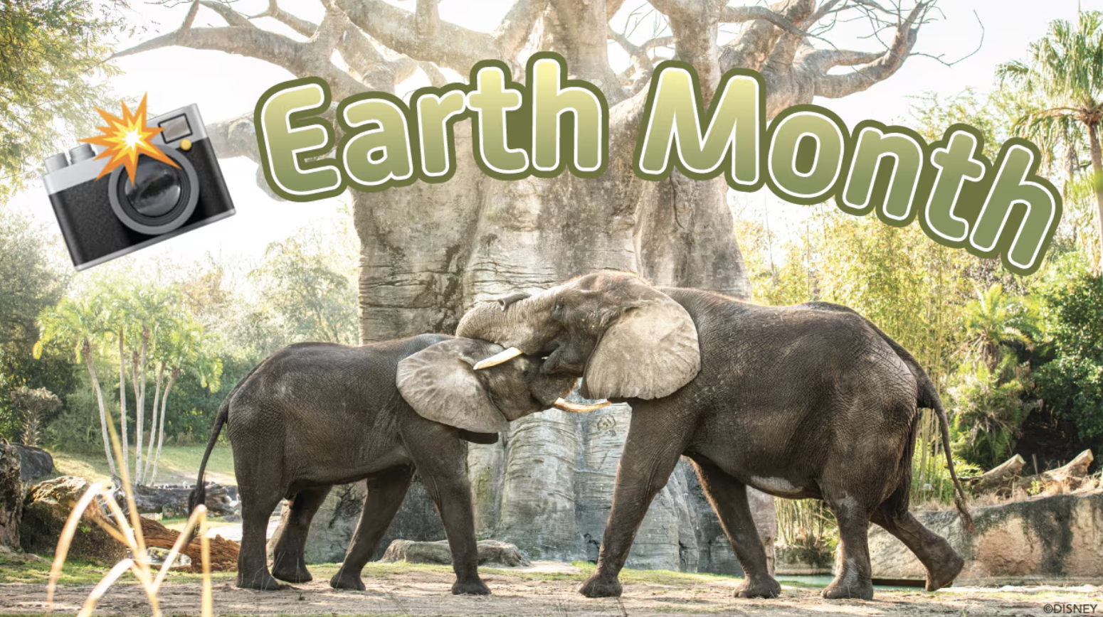 Celebrate Earth Month with New Disney Wallpapers, Magic Shots!  