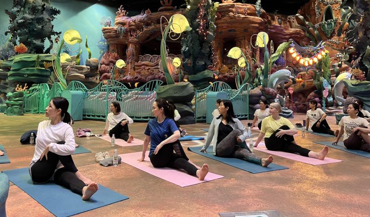 Disney Cast Yoga, Tokyo Disney Resort