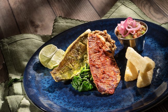 Disney Treasure Plaza de Coco Red Capsicum and Green Parsley Grilled Snapper 
