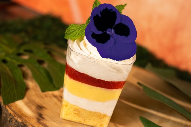 Disney’s Animal Kingdom Theme Park - "Lion King" 30th anniversary - Timon's Luau dessert