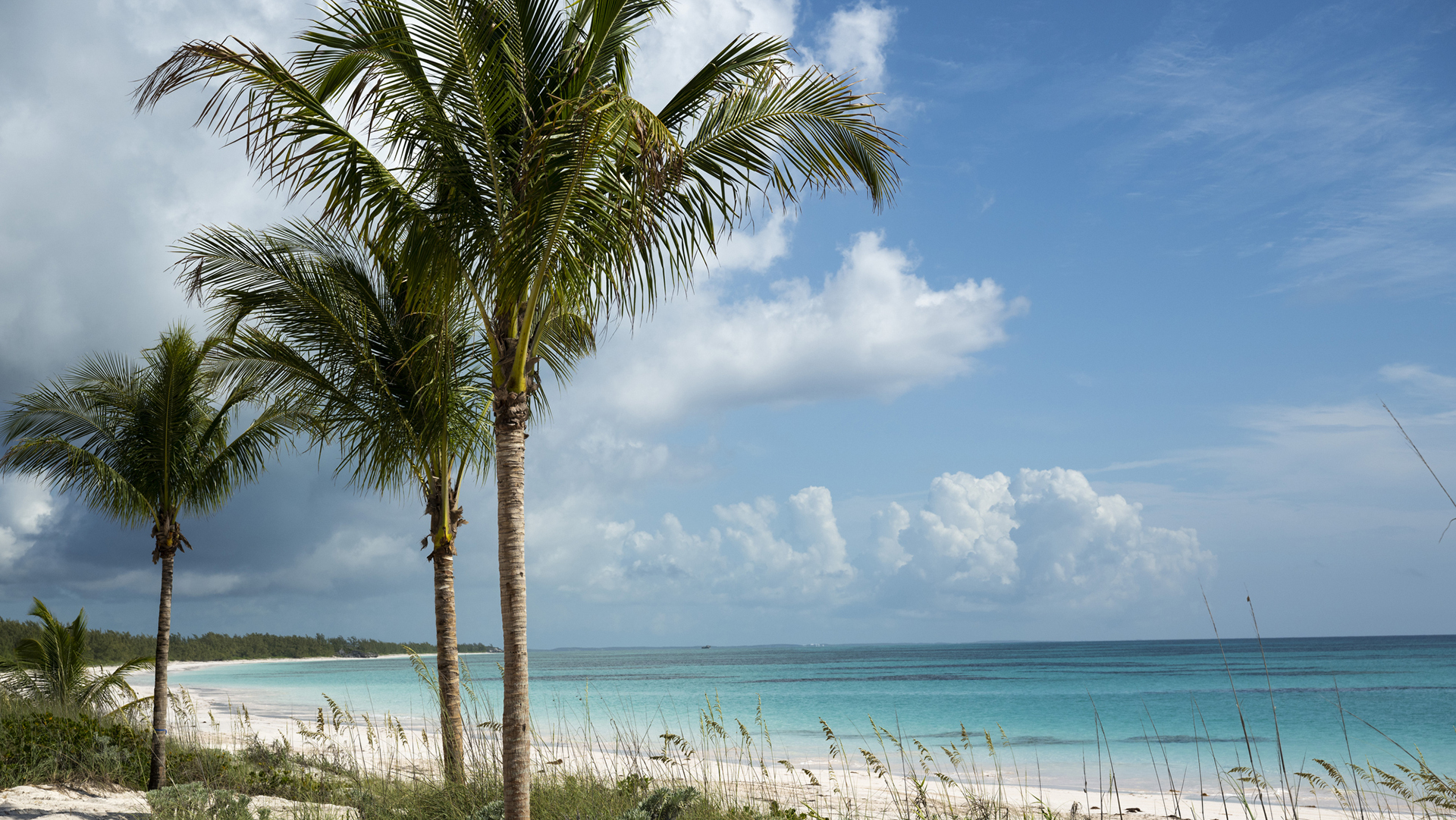 Disney Lookout Cay at Lighthouse Point