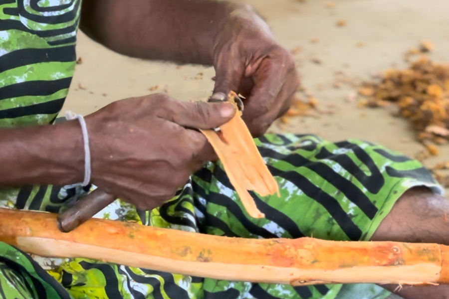 National Geographic Expeditions, Cinnamon Estate, Sri Lanka