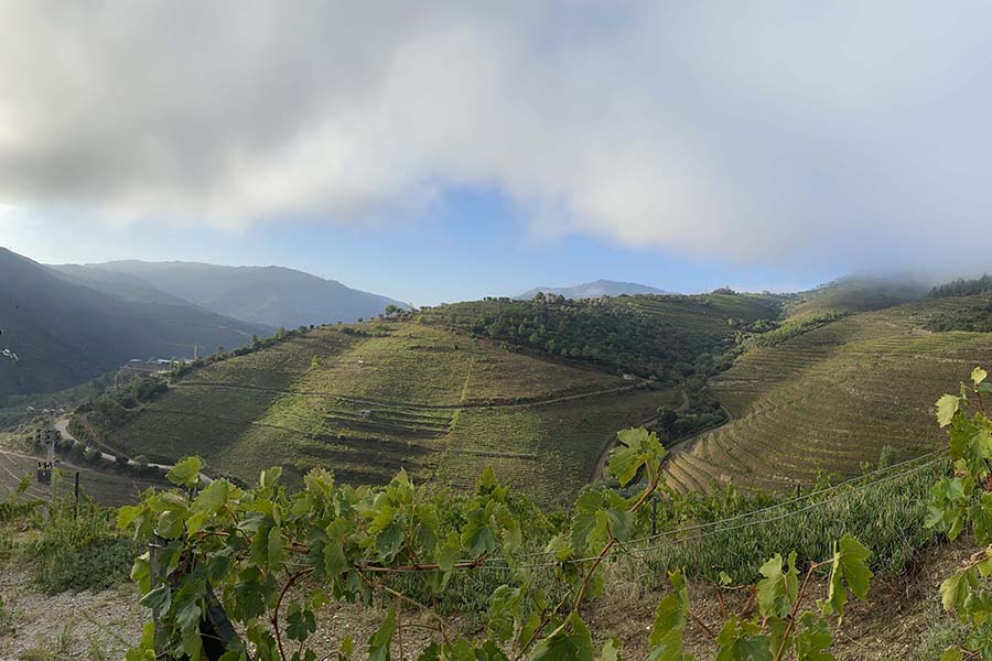 Duoro Valley, Portugal