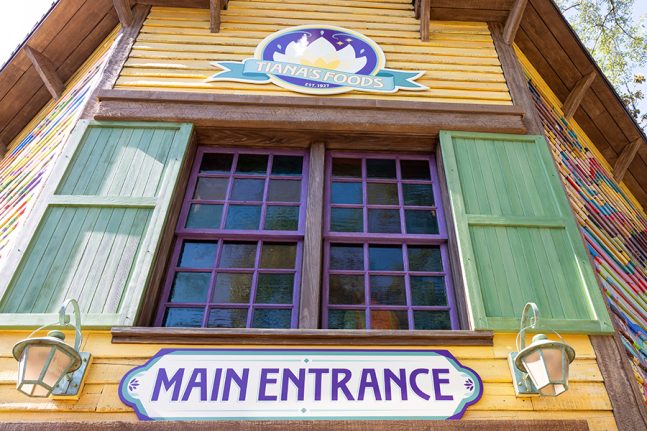 Queue for Tiana's Bayou Adventure