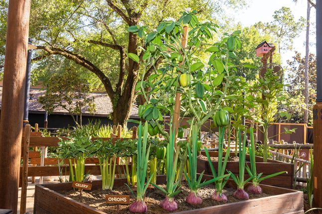 Garden in the queue for Tiana's Bayou Adventure
