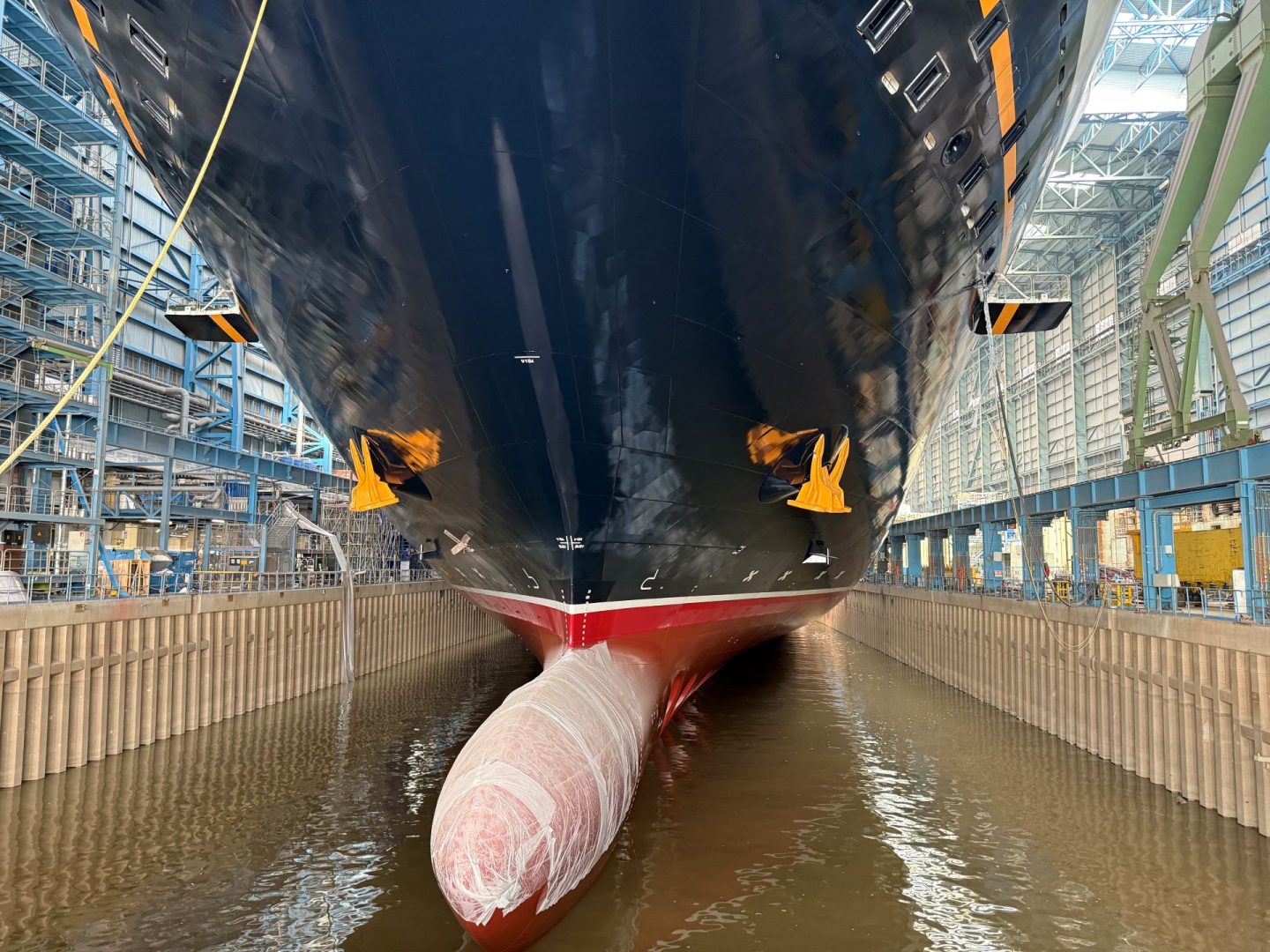 Disney Destiny Ship's Log - Float Up (1)