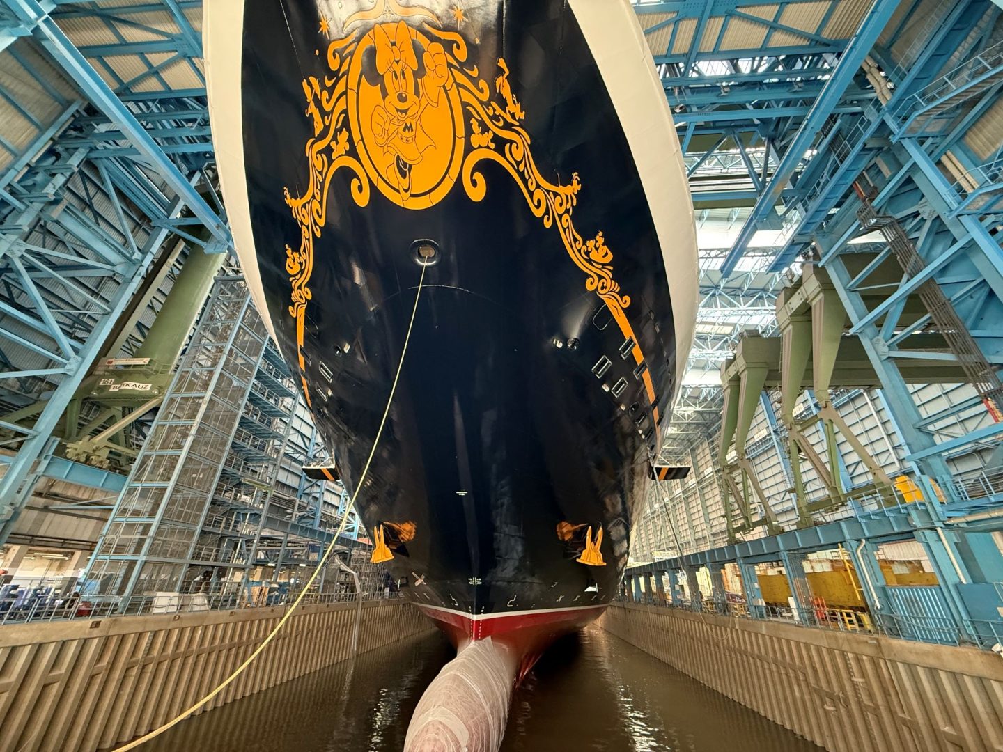 Disney Destiny Ship's Log - Float Up (2)