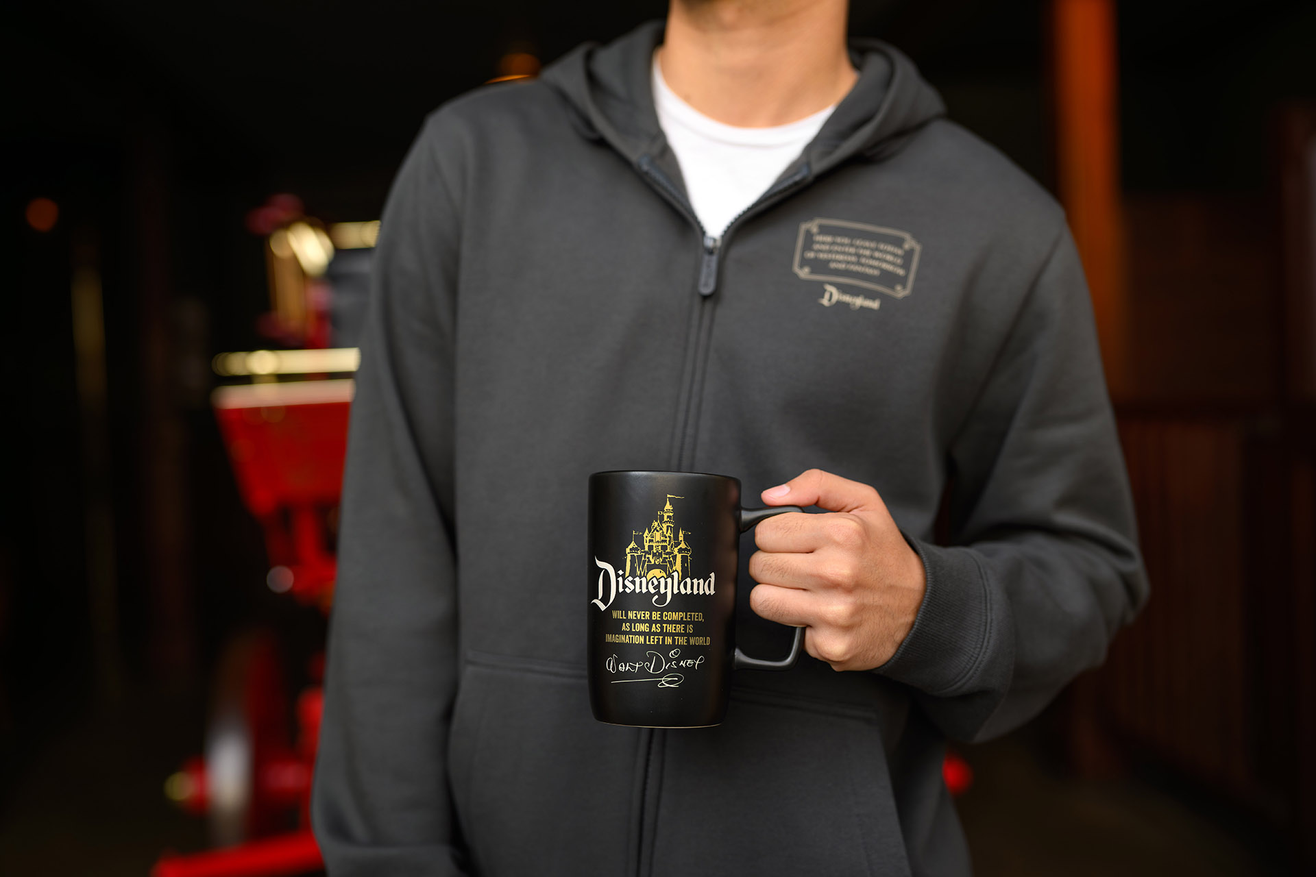 Celebrate Happy with Disneyland 70th Anniversary Merchandise 