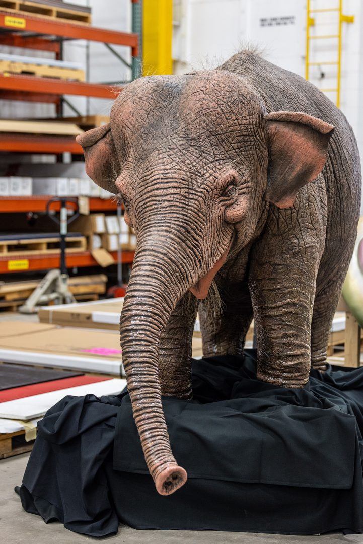A Jungle Cruise baby elephant at Central Shops backstage at Disney World