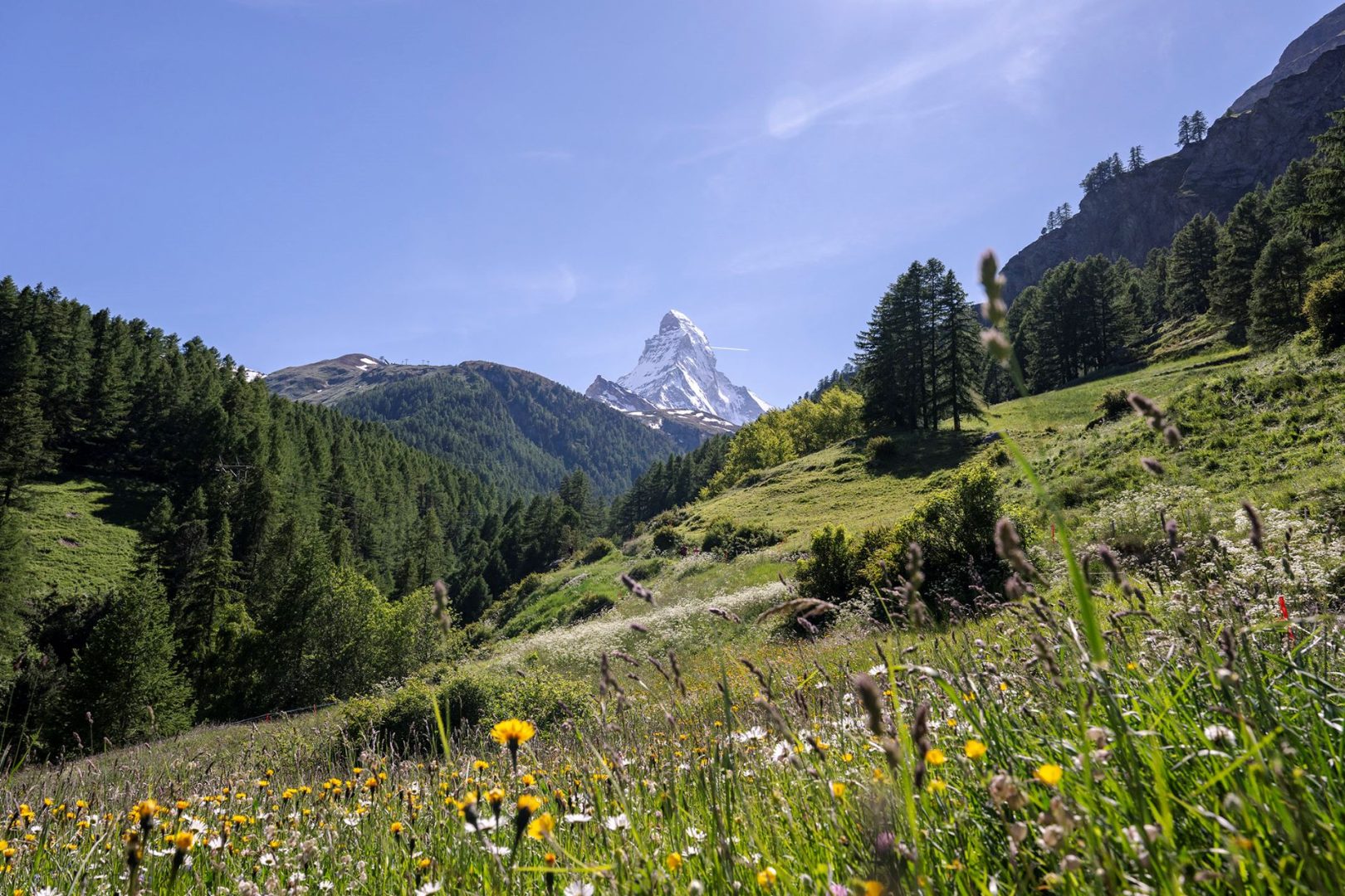 Adventures by Disney Heads to Greece and Switzerland with New Trips