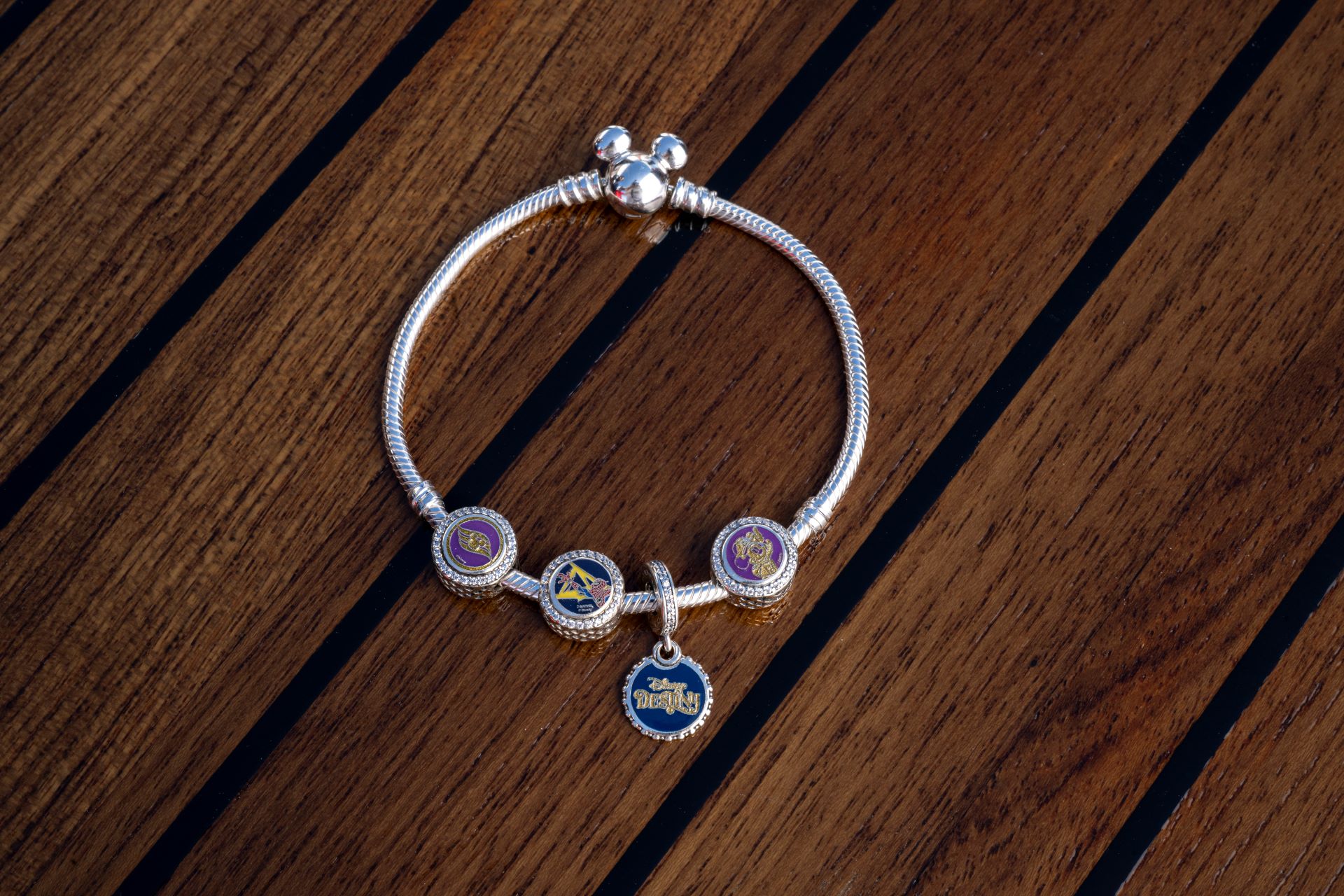 New Merchandise Collections Exclusive to the Disney Destiny - Disney Destiny Inaugural Collection (4)