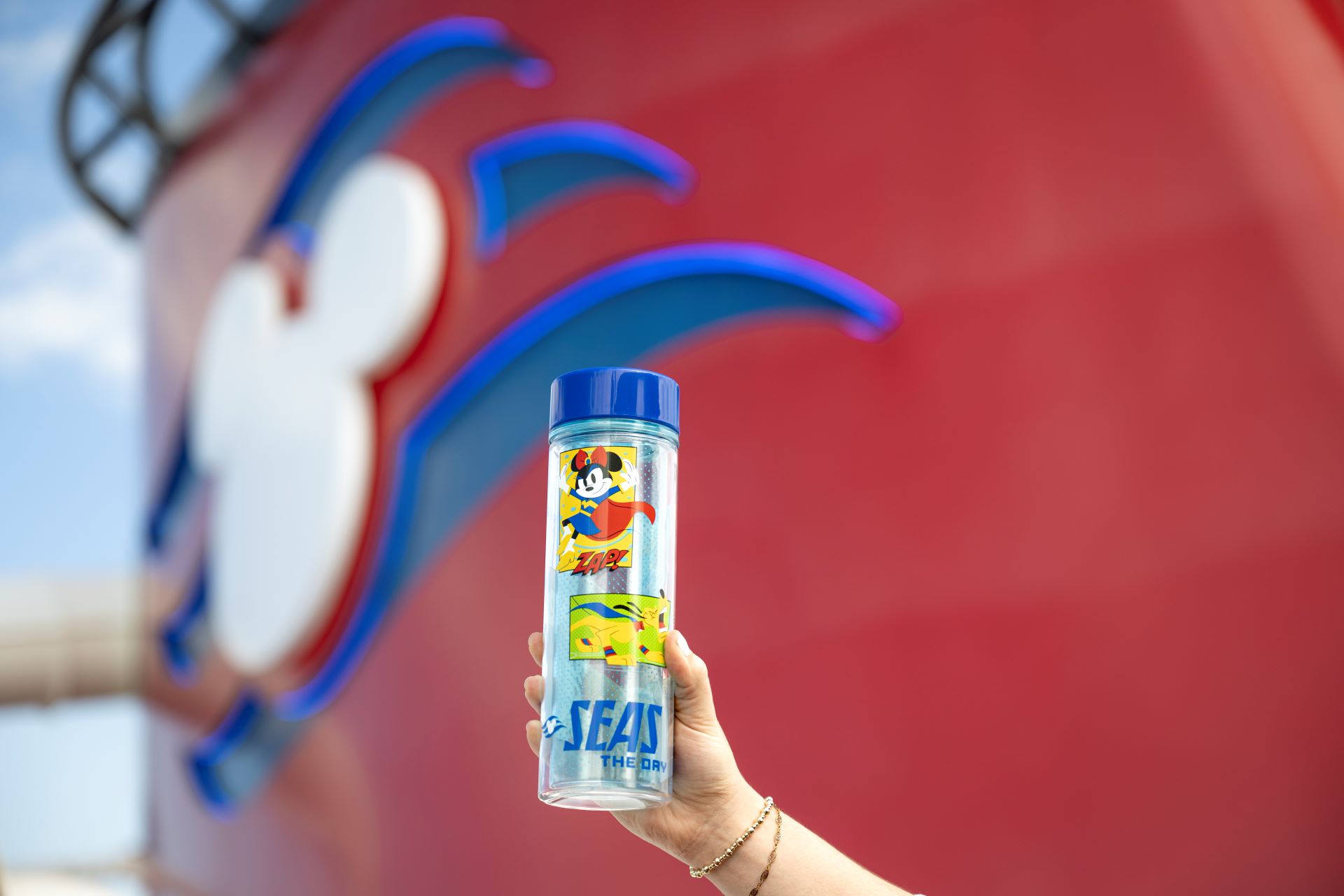 New Merchandise Collections Exclusive to the Disney Destiny - Super Character Collection (3)