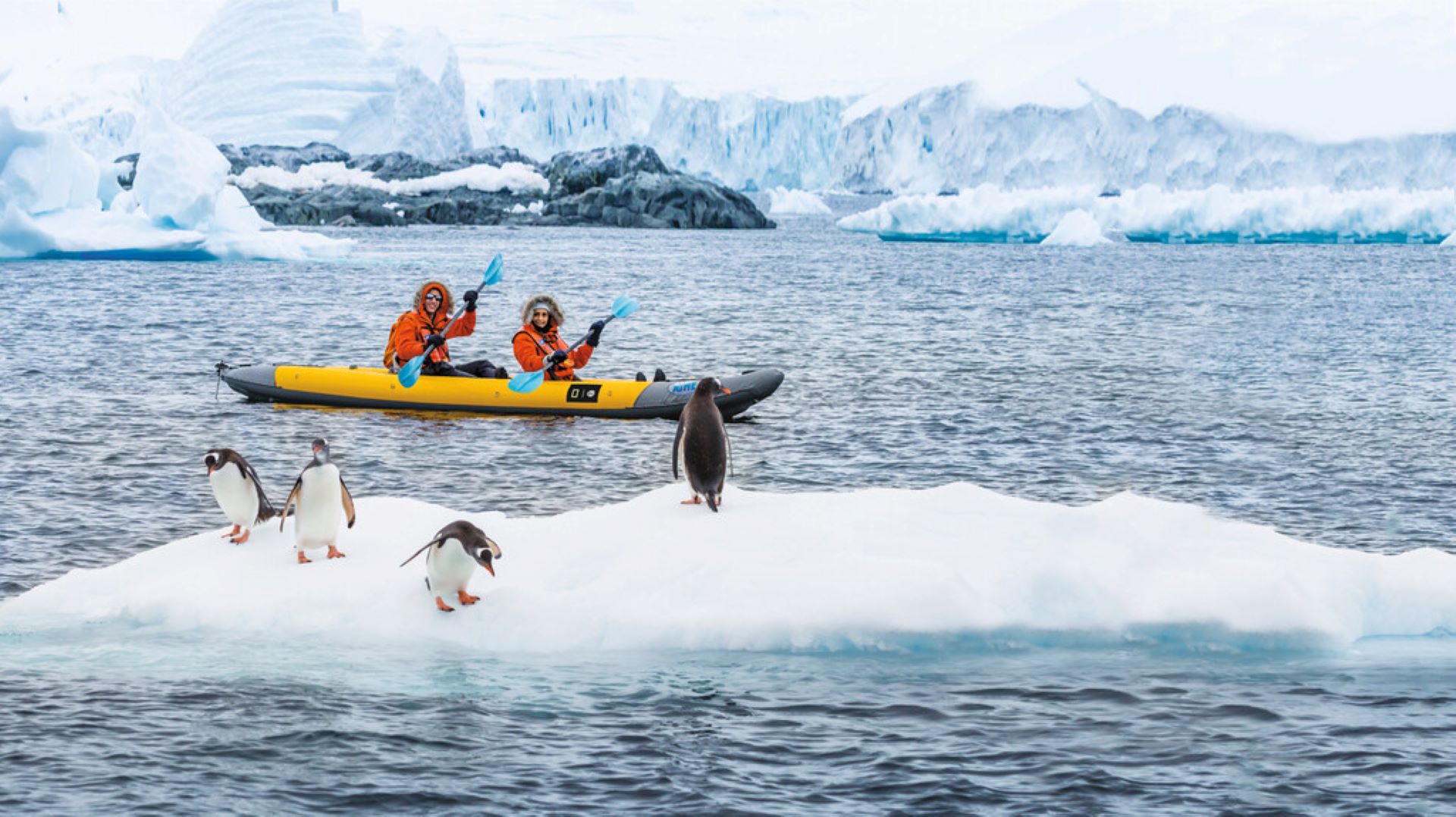 Top Ways to See Penguins with Nat Geo Expeditions