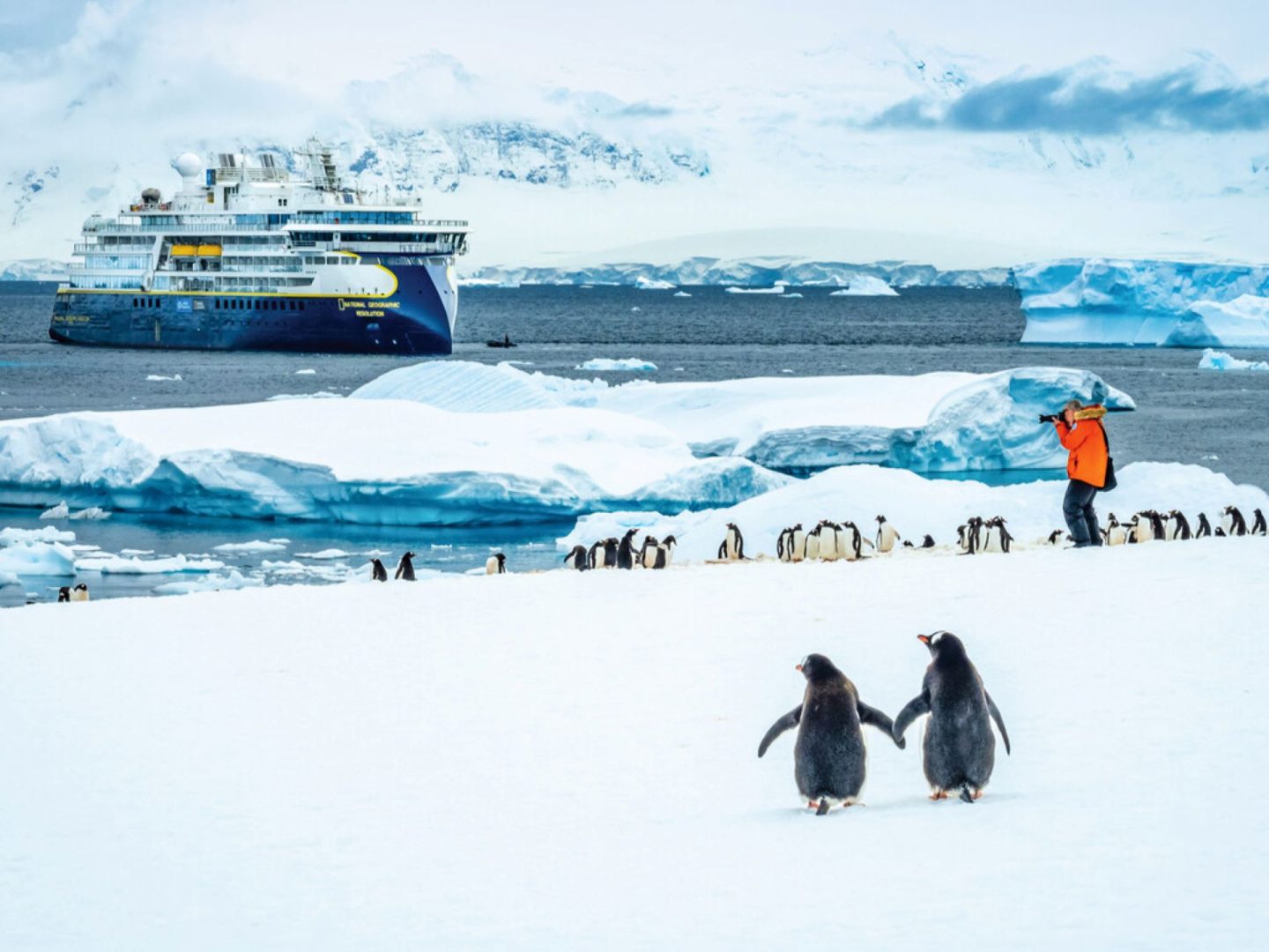 Top Ways to See Penguins with Nat Geo Expeditions