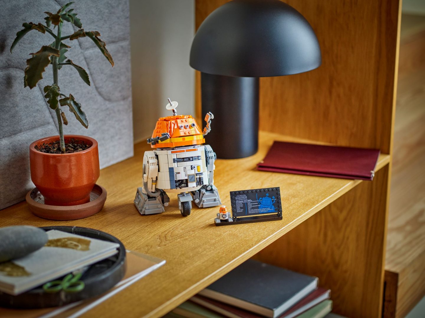 Star Wars Day - Merchandise