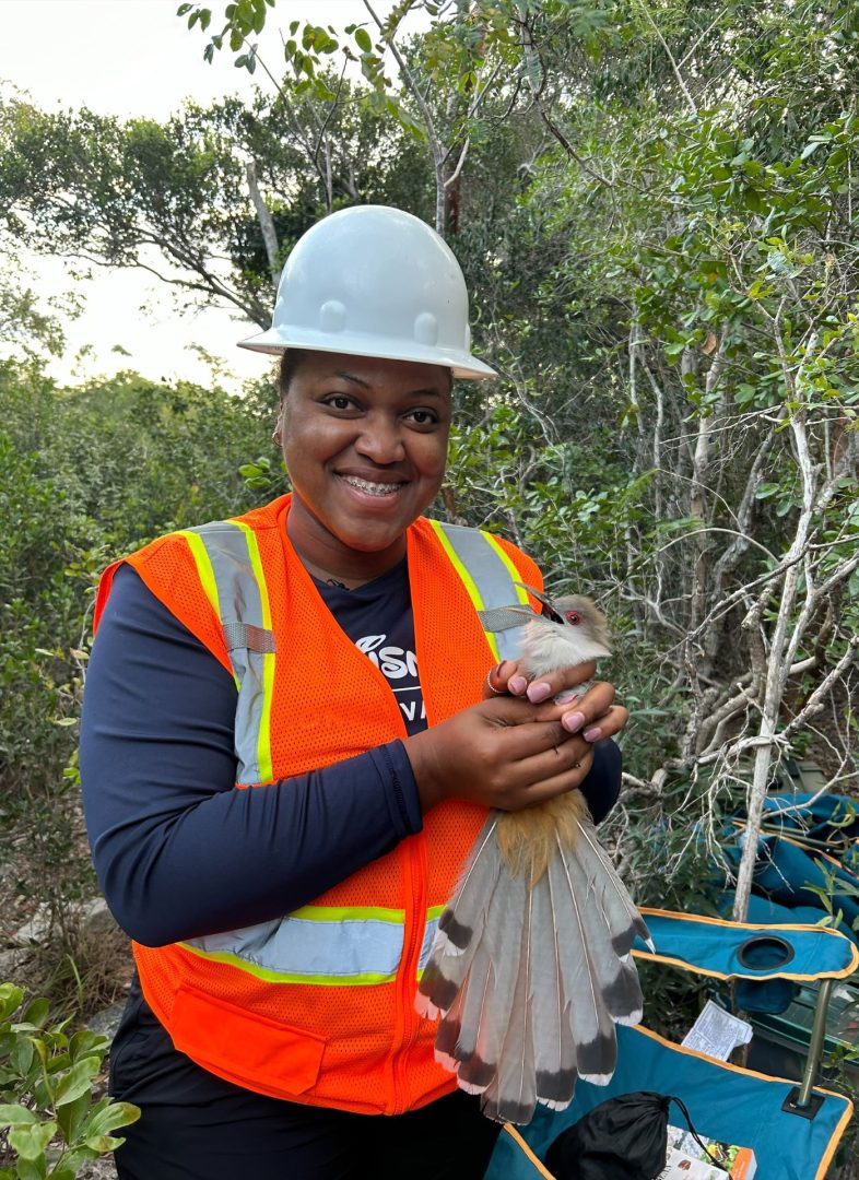 Birds of a Faux Feather: Conservation at Disney Lookout Cay