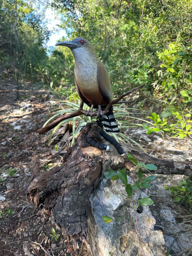 Birds of a Faux Feather: Conservation at Disney Lookout Cay