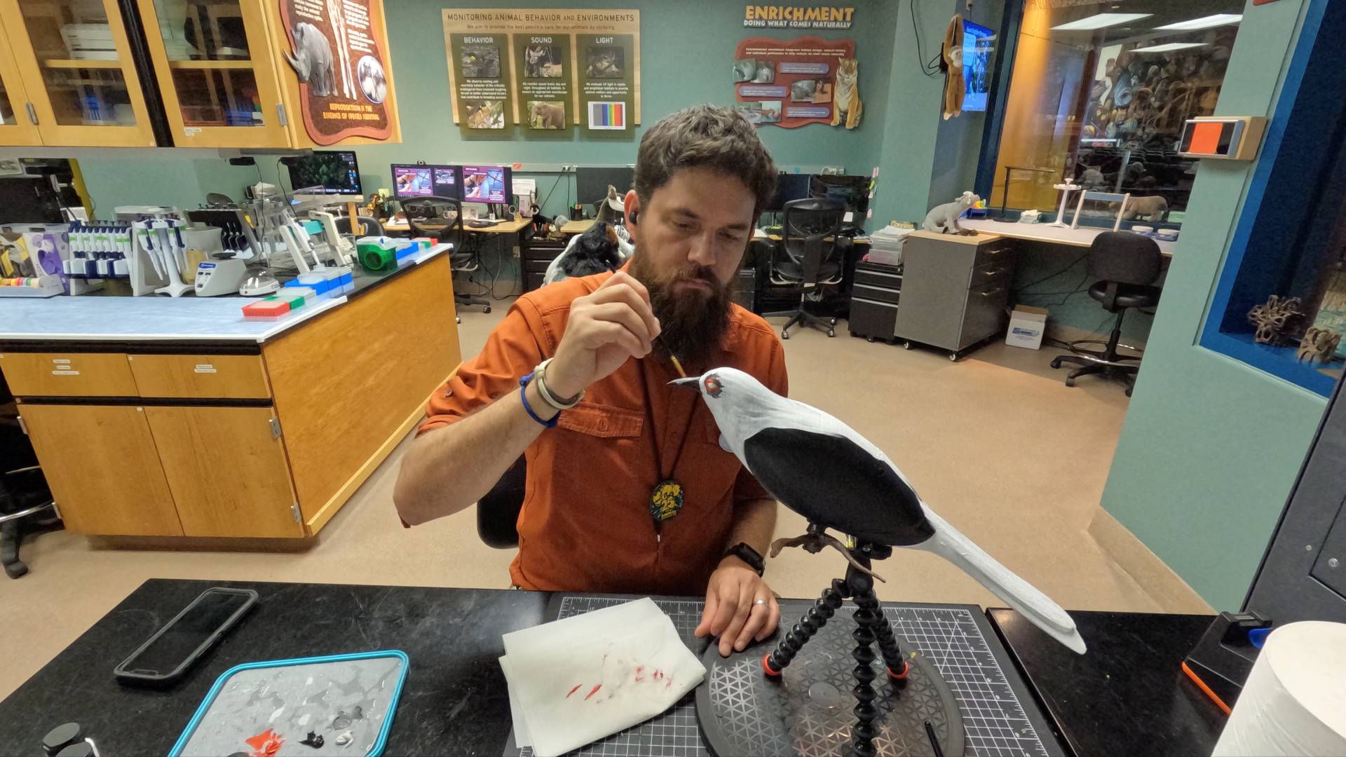 Birds of a Faux Feather: Conservation at Disney Lookout Cay