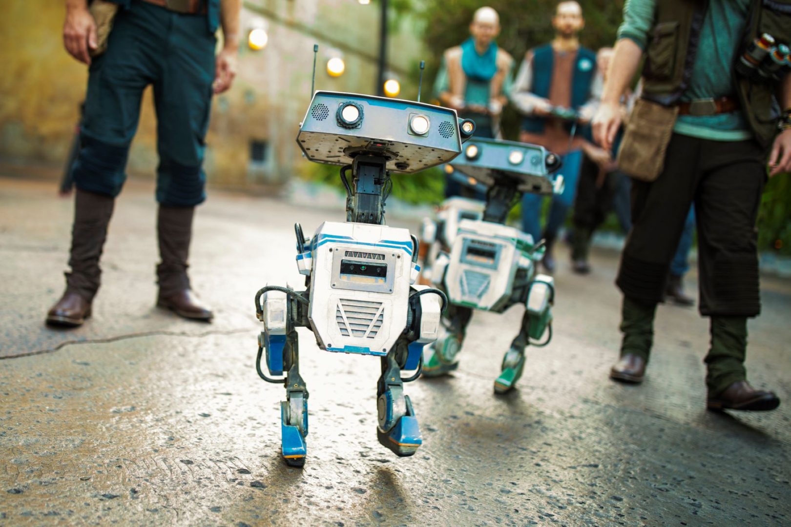 Guide to Star Wars on May the 4th at Disney Parks and at Home