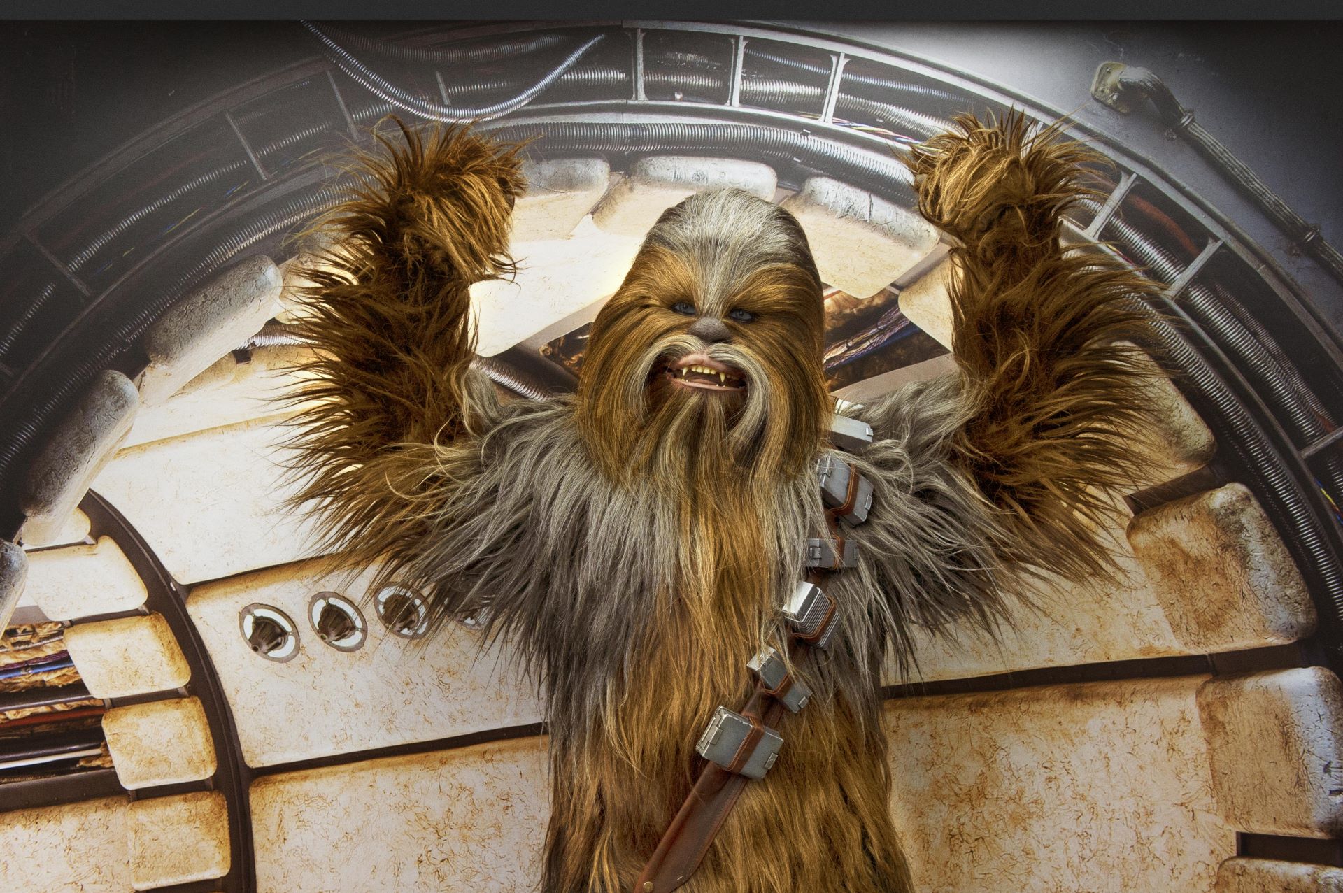 Guide to Star Wars on May the 4th at Disney Parks and at Home