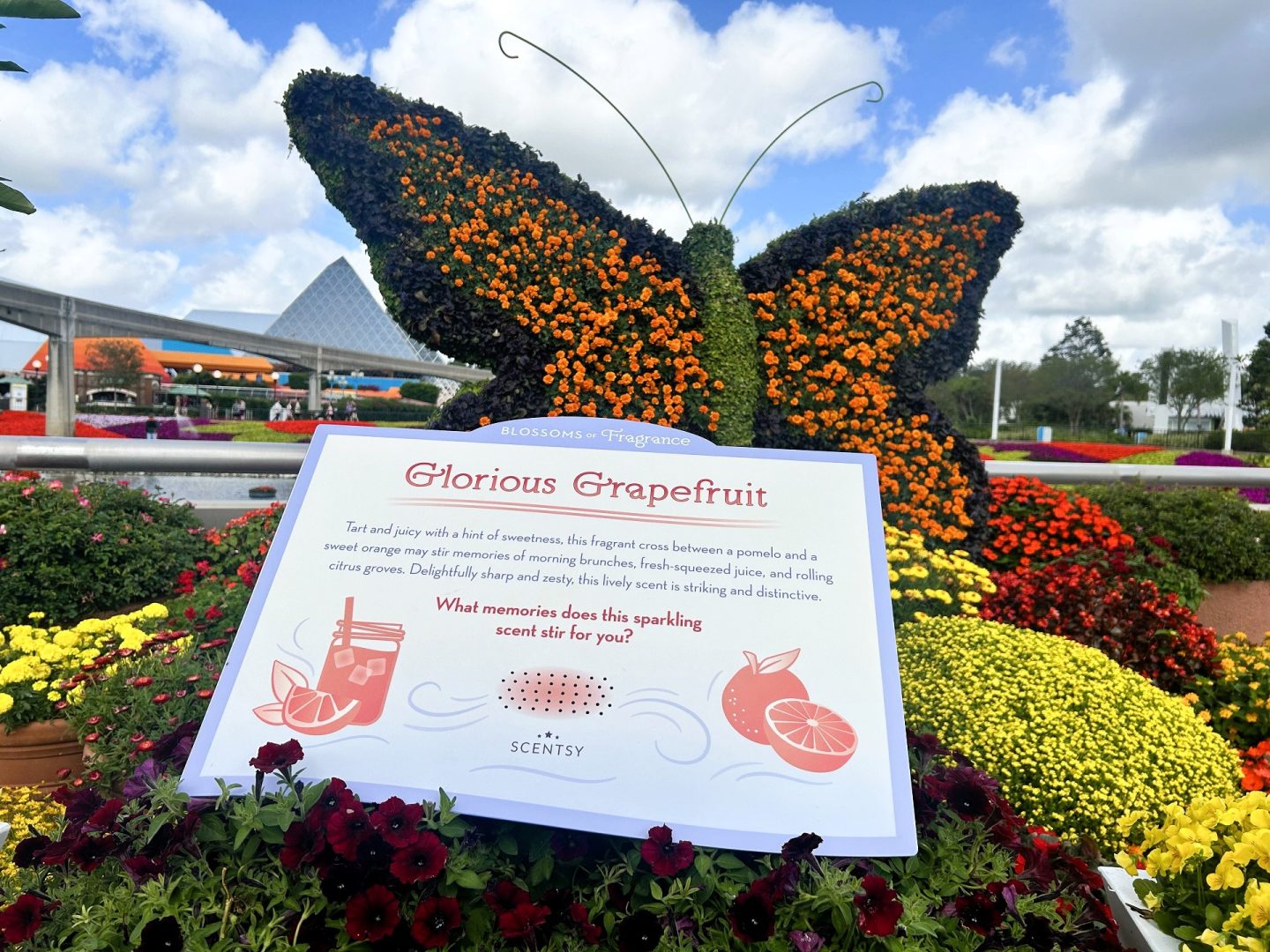 Glorious Grapefruit scent station at EPCOT Flower & Garden Festival 
