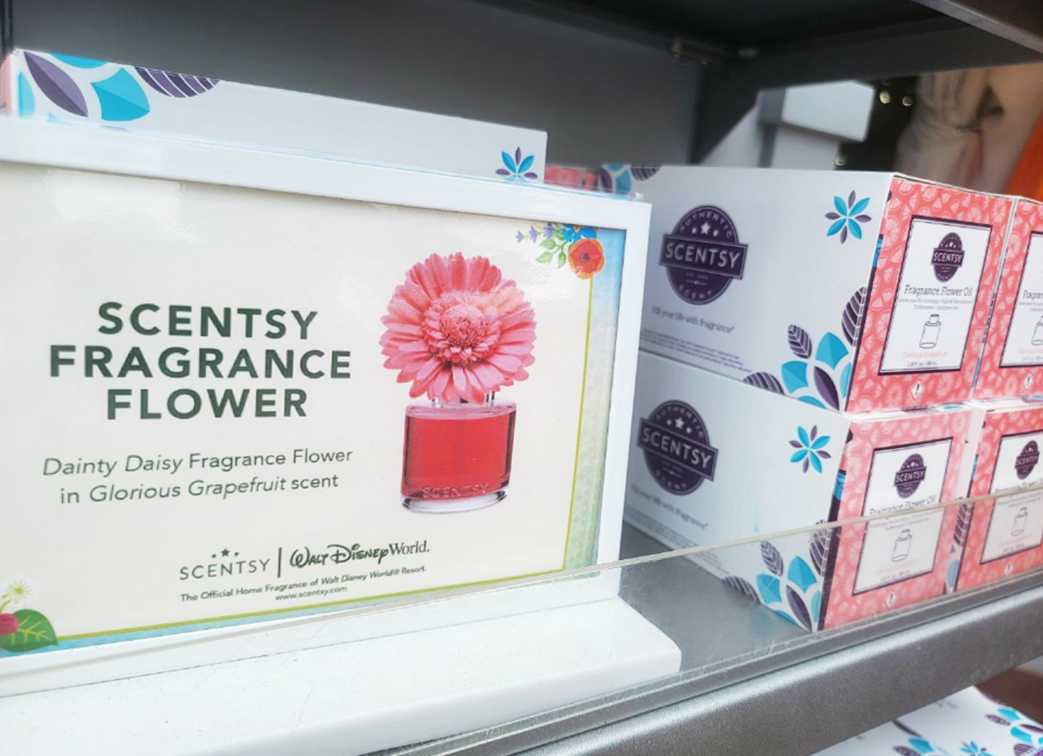 Scentsy Glorious Grapefruit fragrance flower at EPCOT Flower & Garden Festival 