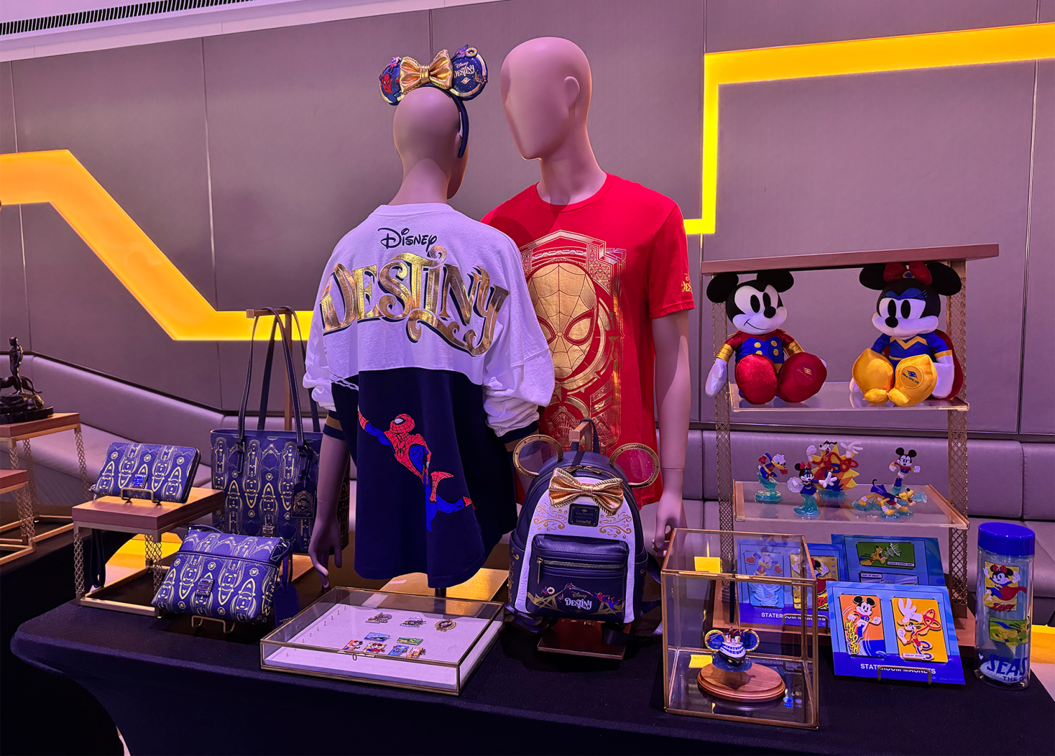Disney Destiny Merch
