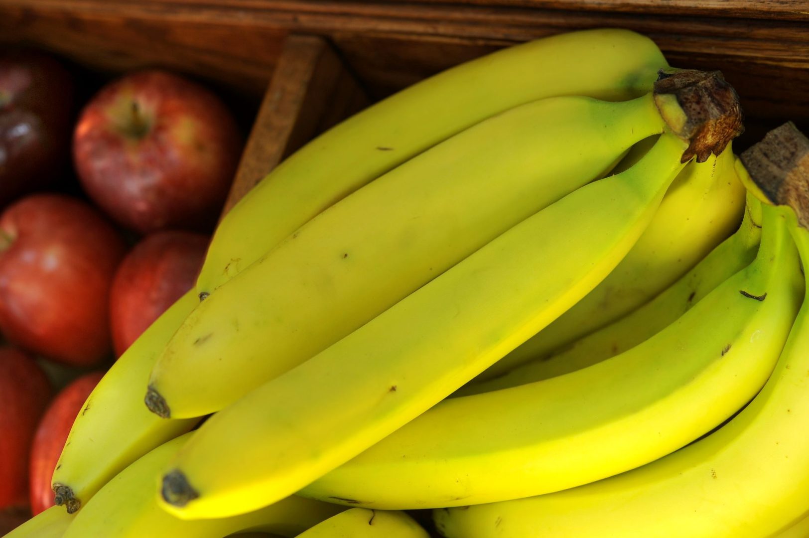 Disney Eats: 13 Banana Bites to Celebrate Savannah Bananas at Disneyland