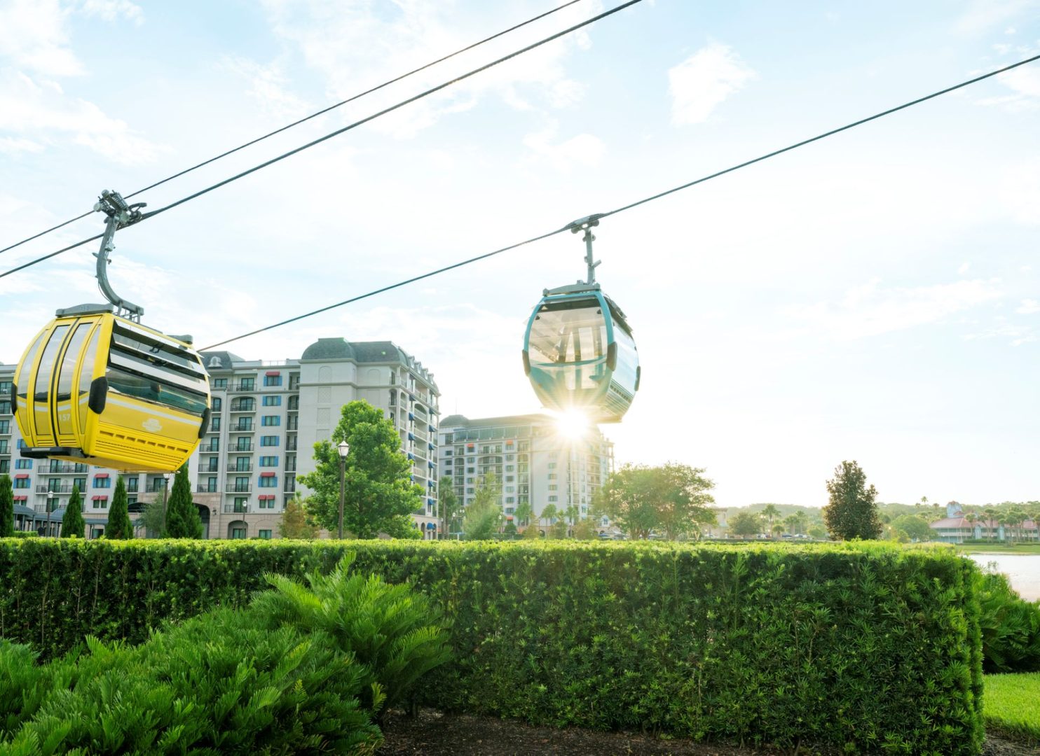 DVC Summer Tips for Young Families