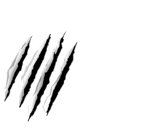 Hong Kong Disneyland Reveals New Cast Name Tags