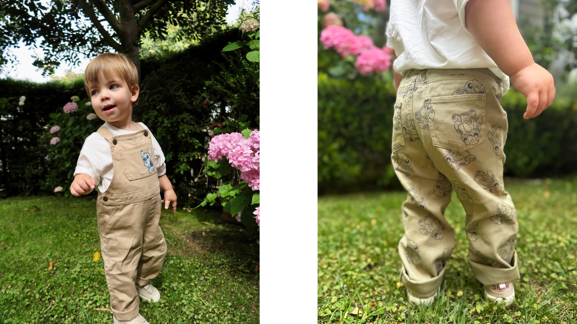 Celebrate 626 Day with an Intergalactic Guide to Surviving Earth 