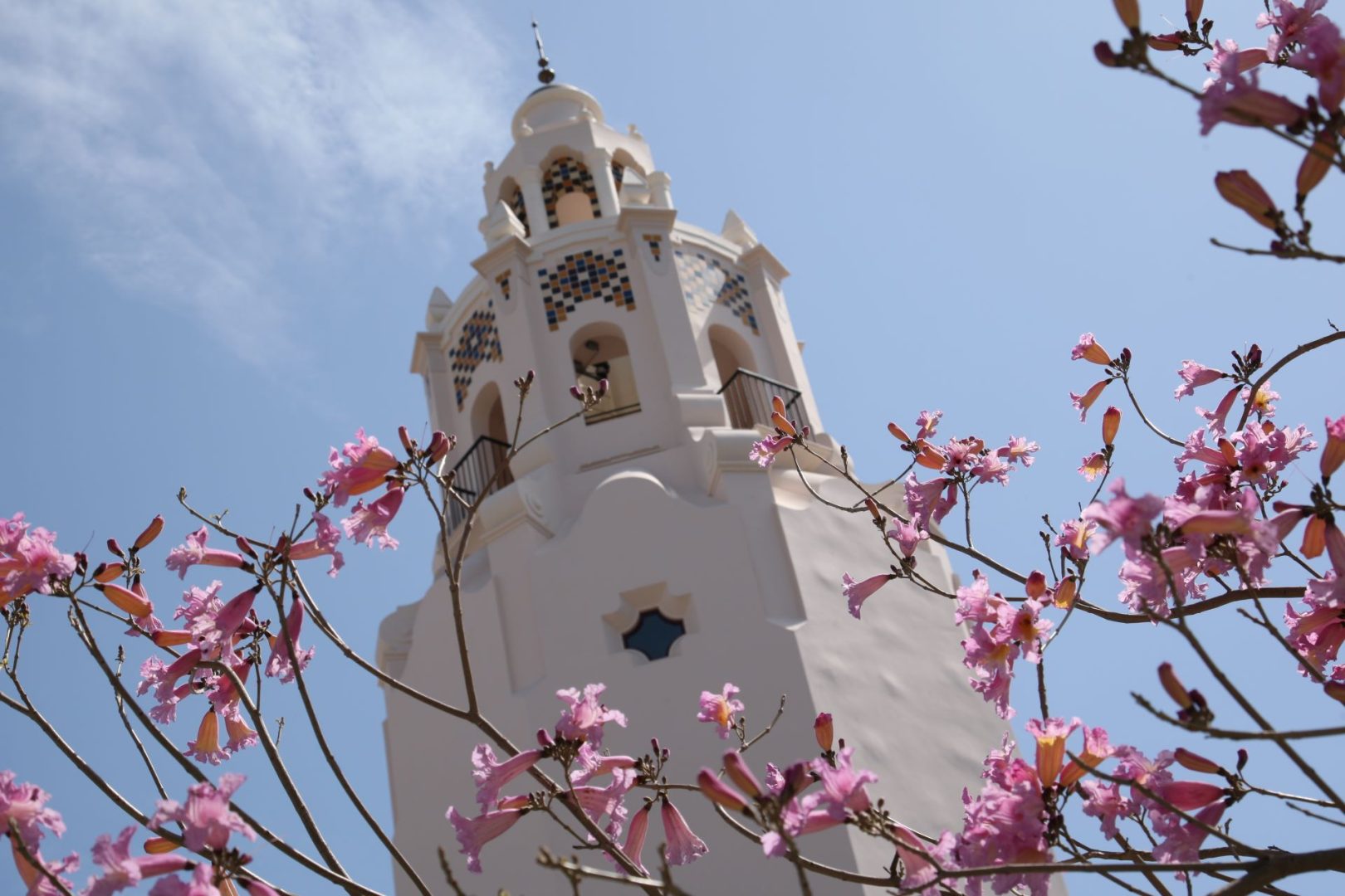 Where to Eat at Disney California Adventure Park