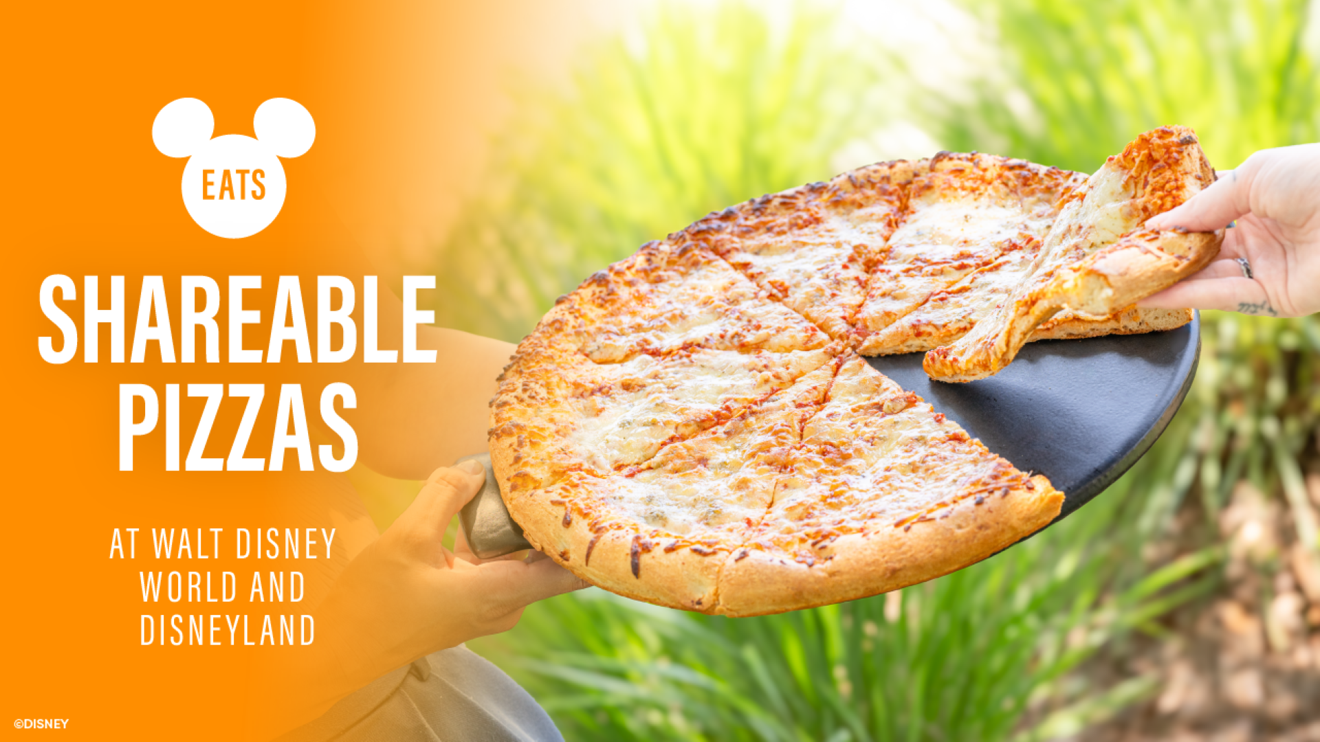 2025-DX-Shareable-Pizzas-at-WDW-and-DLR