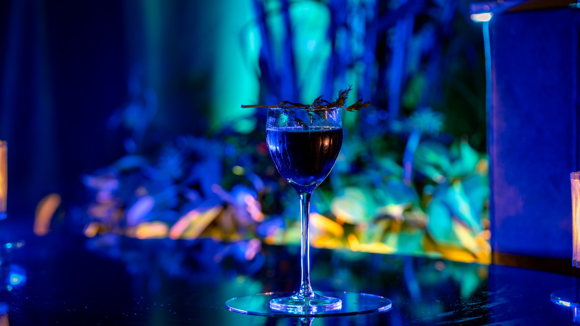 Broken Spell Lounge Squid Ink Martini