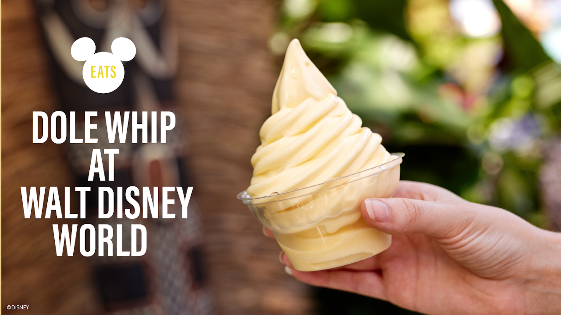 Dole Whip at Walt Disney World