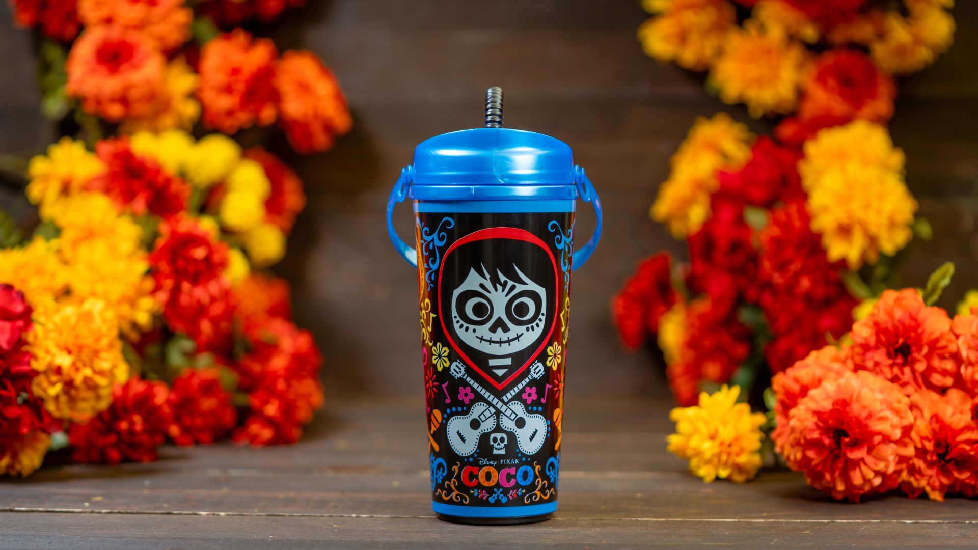 Disneyland Resort - Coco Sipper