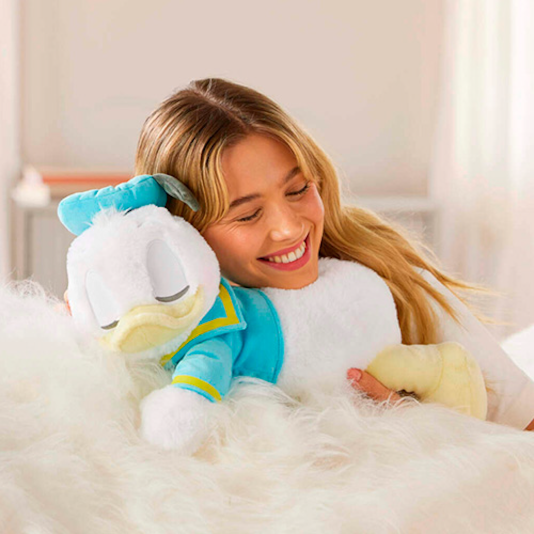 Mickey & Friends La La Land Kind Cafe Collaboration Donald Japan Plush