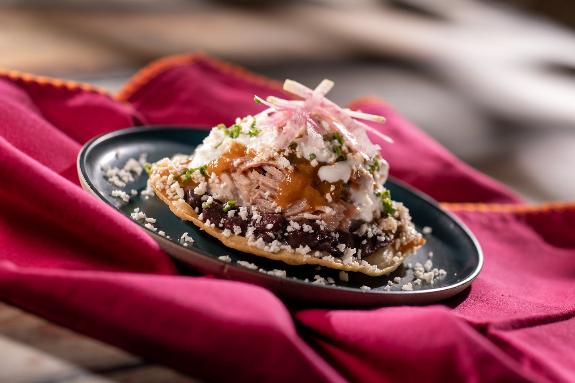 EPCOT Food & Wine Festival Tostada de Carnitas