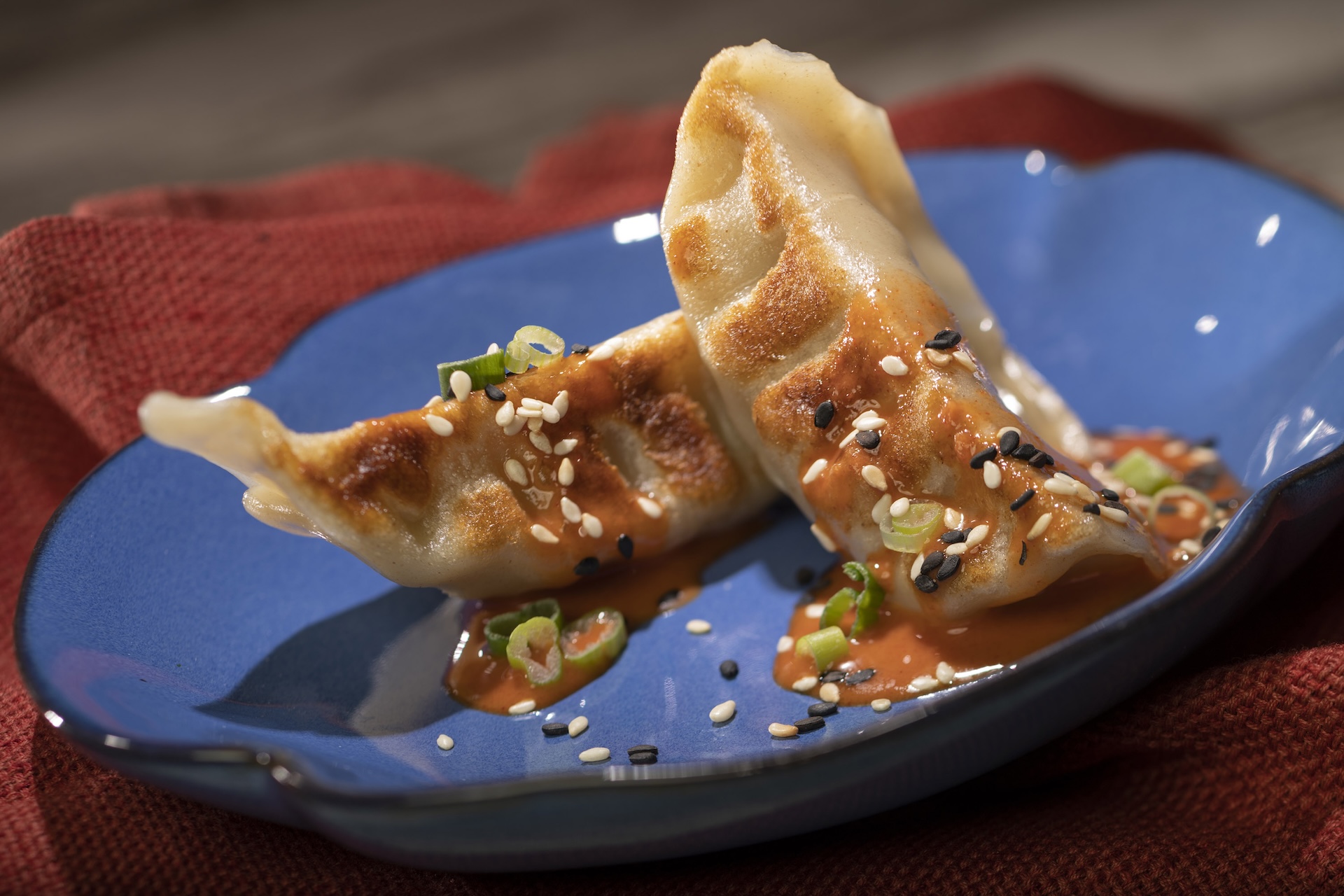 EPCOT Food & Wine Festival Chicken Dumplings