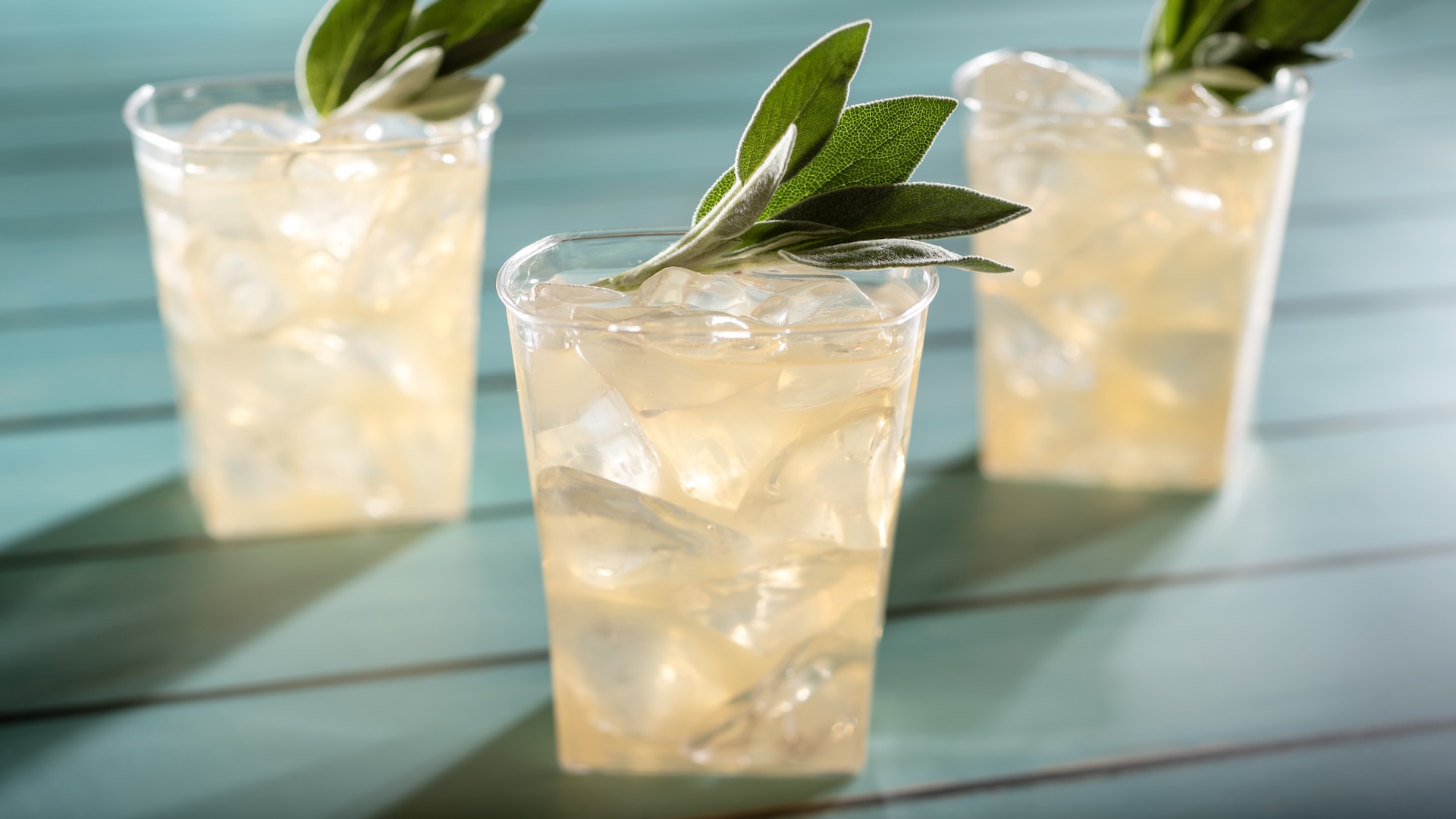 EPCOT Food & Wine Festival Melon Limeade