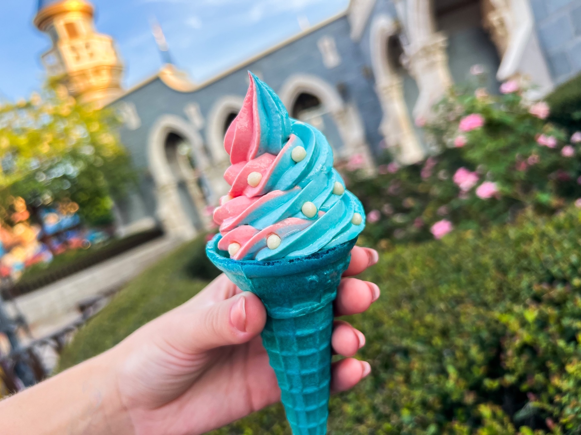 World Princess Week Walt Disney World Aurora Cone