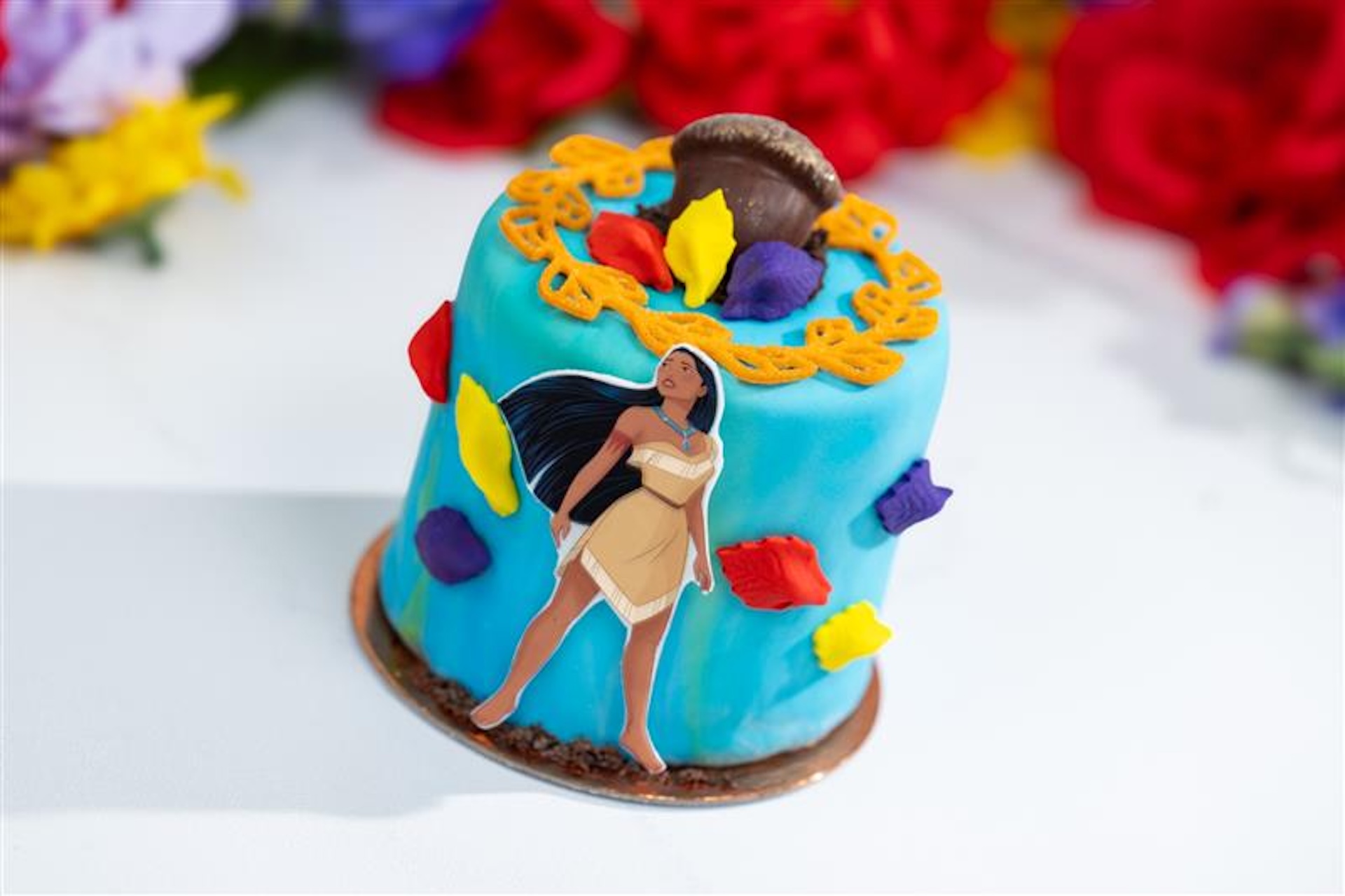 World Princess Week Walt Disney World Colors of the Wind Cake
