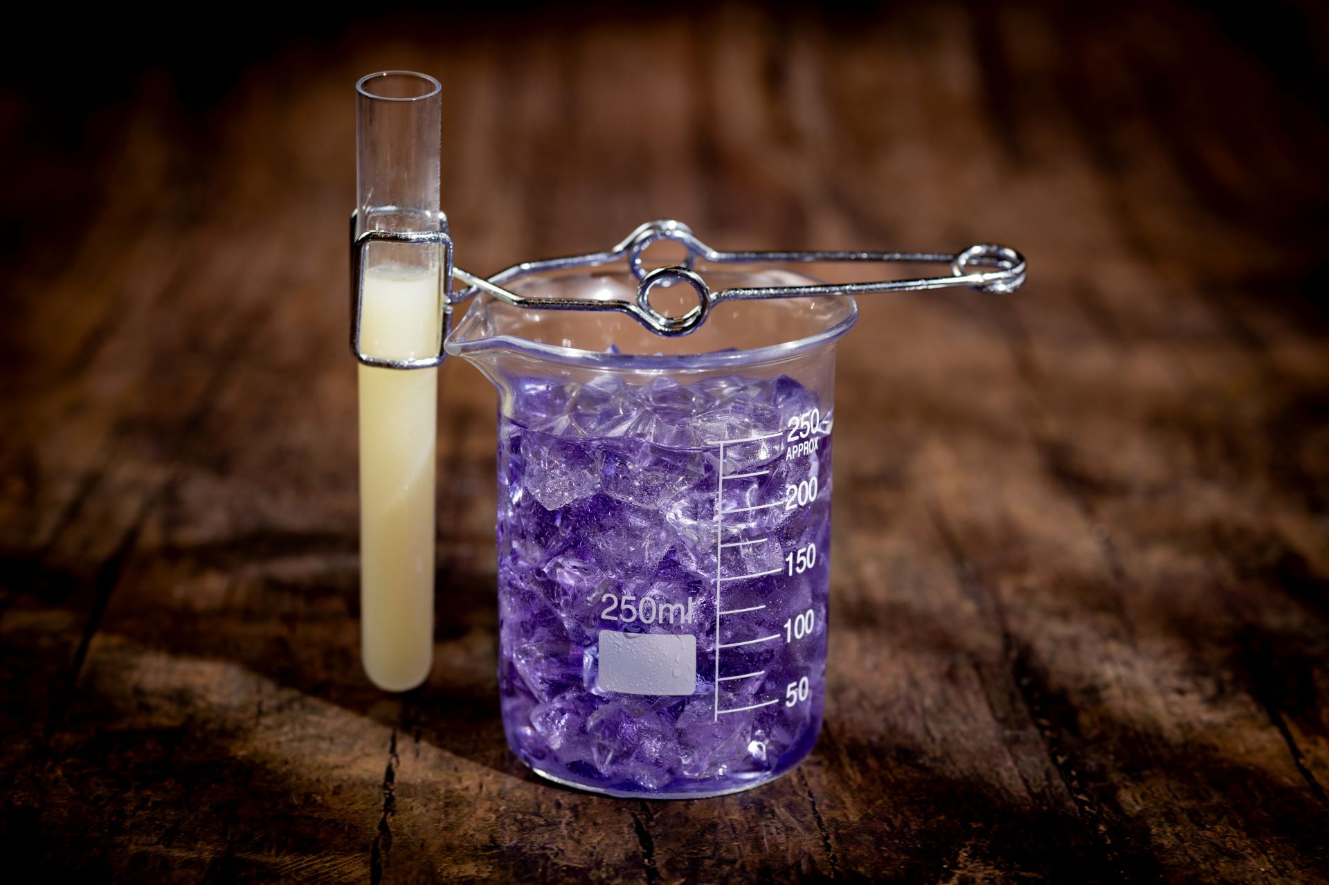 Cauldron Cooler Walt Disney World Halloween