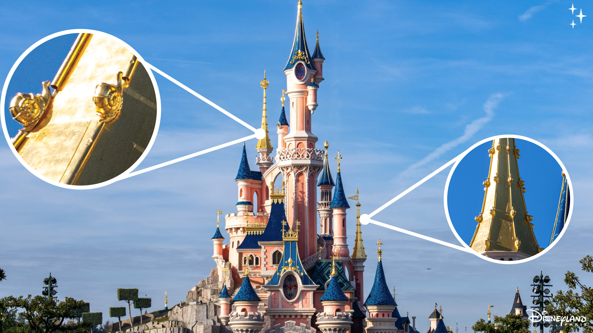 Le Château de la Belle au Bois Dormant Details