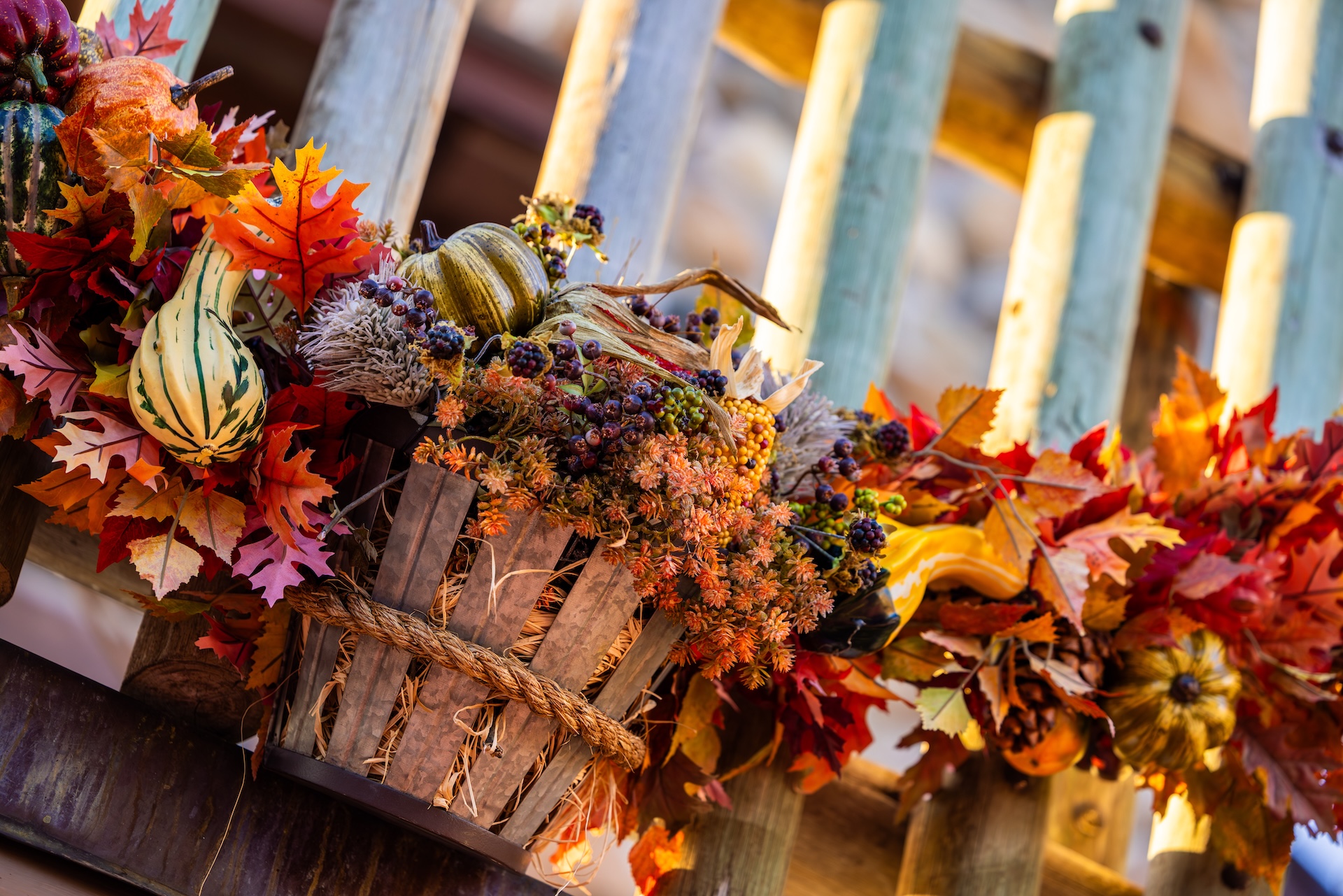 Walt Disney World 2025 Fall Season Halloween Decor